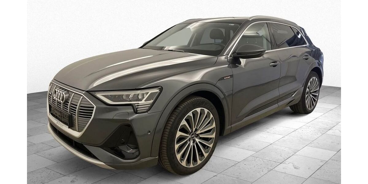 Audi e-tron 122.500 km 23.990 &euro; Hilden 40721